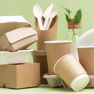 Biodegradable Products